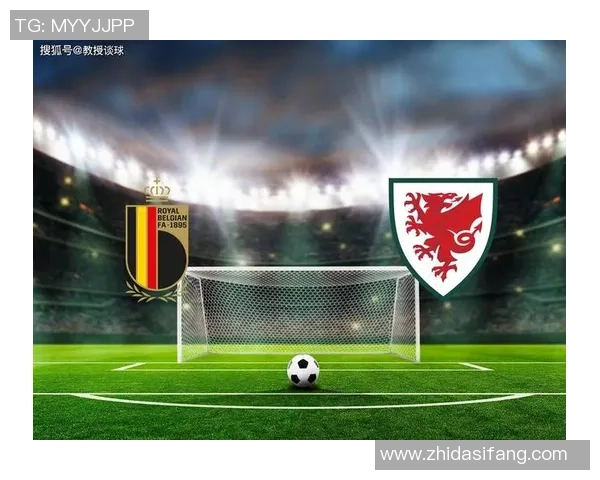 威尔士与比利时精彩对决回顾视频全程录像分享